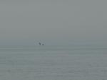 DSC03883.JPG