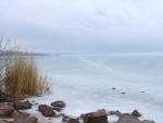 DSC03888.JPG