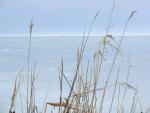 DSC03892.JPG