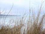 DSC03893.JPG