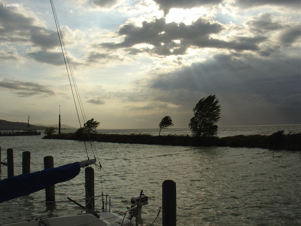 DSC04989.JPG