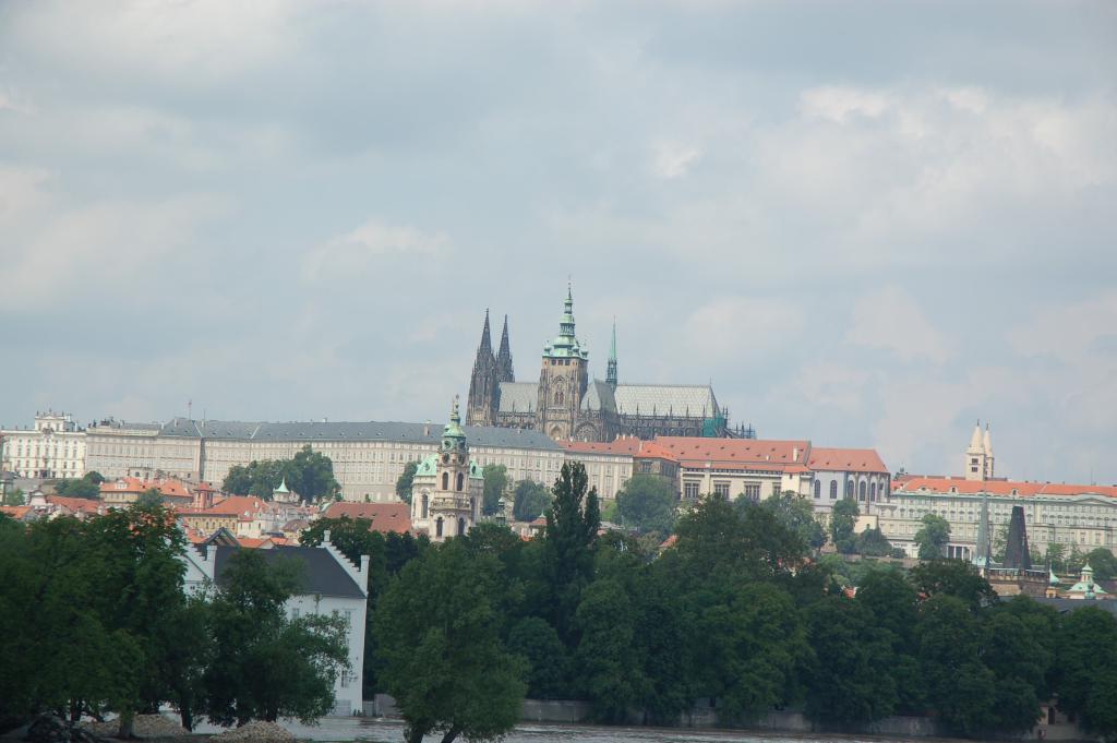 DSC_9498.JPG