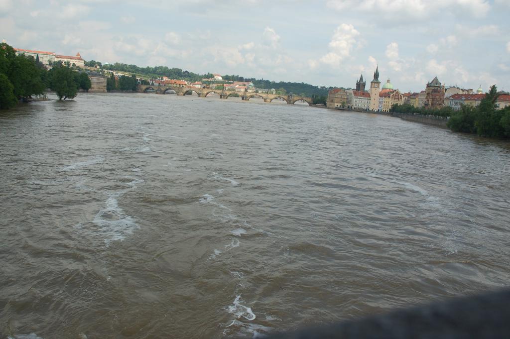 DSC_9500.JPG