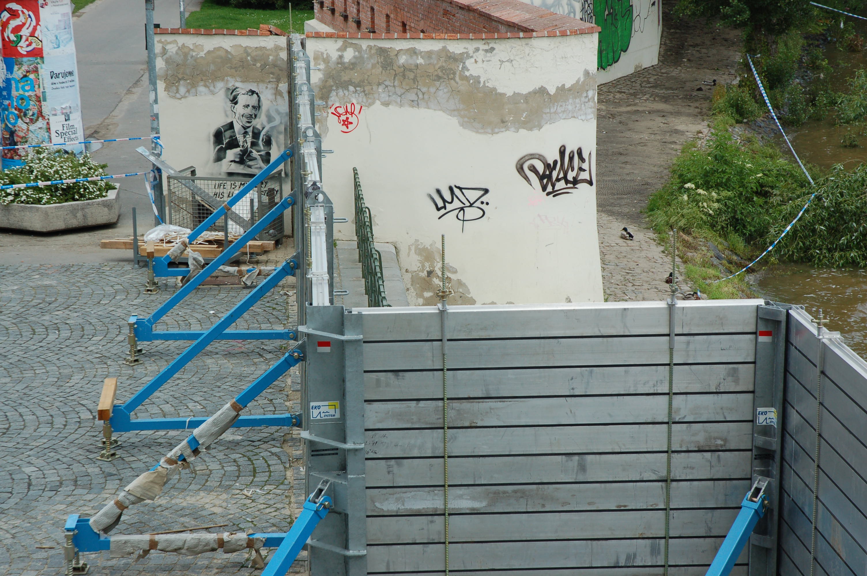 DSC_9503.JPG