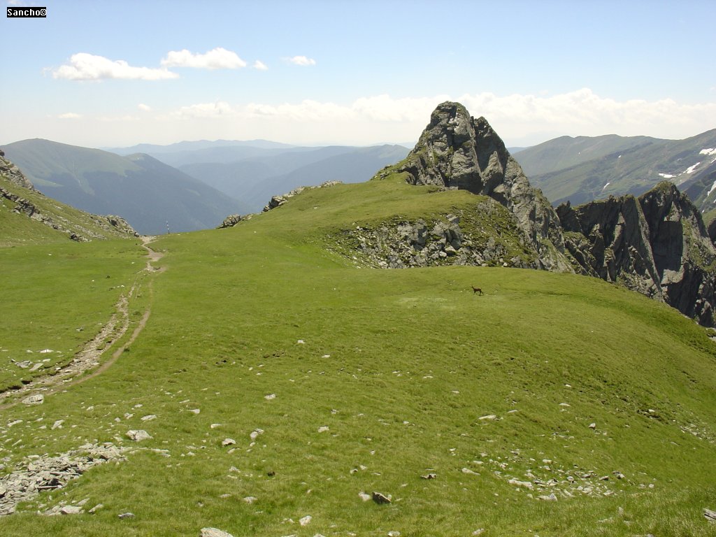 A kis zerge felvágtázott balra el a 