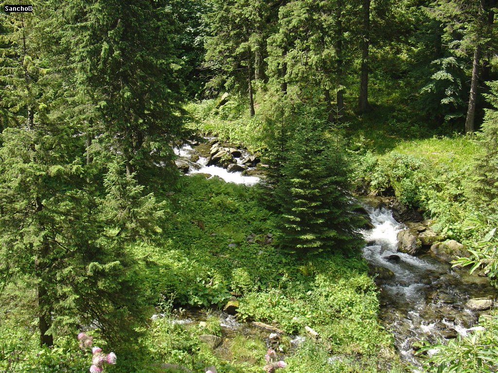 Itt csak 1200m-en vagyunk, és egy kicsit lankás a terep... :)