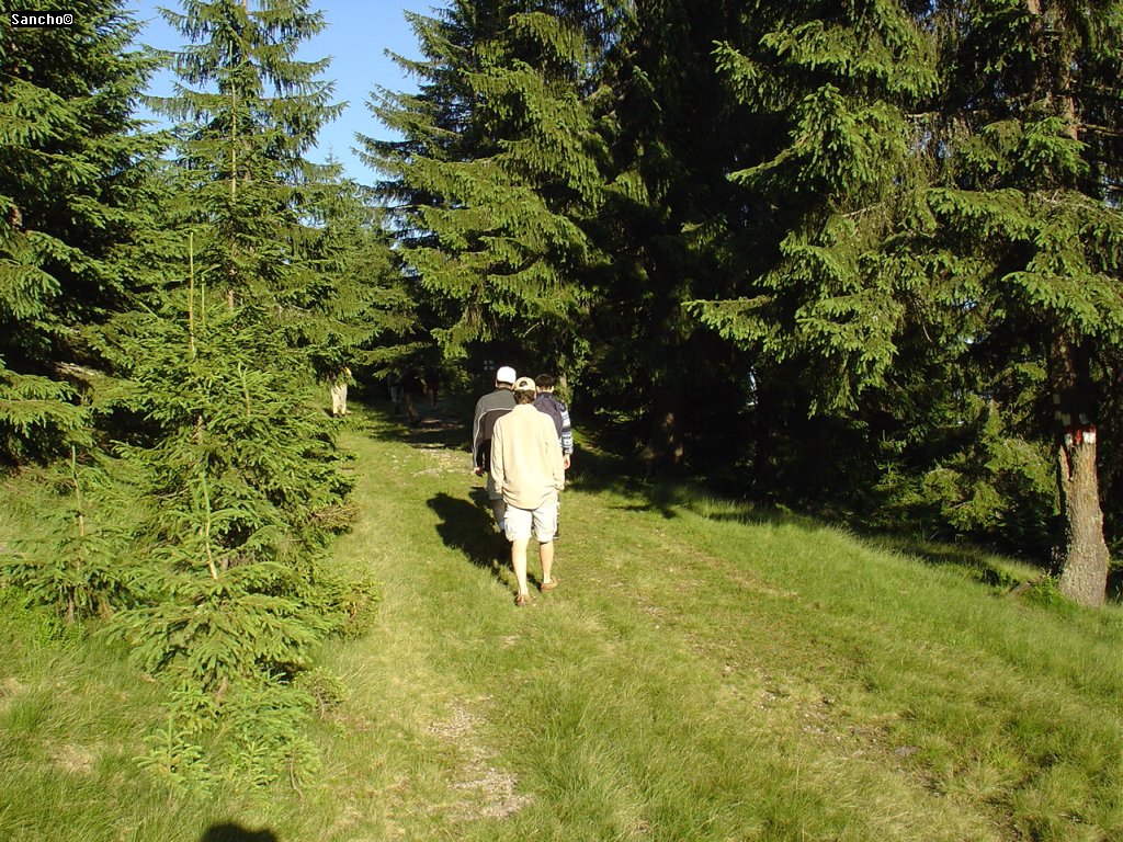 A lenyugvó nap sugaraiban elindúltunk visszafelé egy másik úton, a tisztás másik felén.