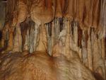 2005-07-23 Medve barlang