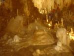 DSC06704.JPG
