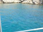 DSC07590.JPG