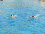 DSC07596.JPG