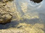 DSC07528.JPG