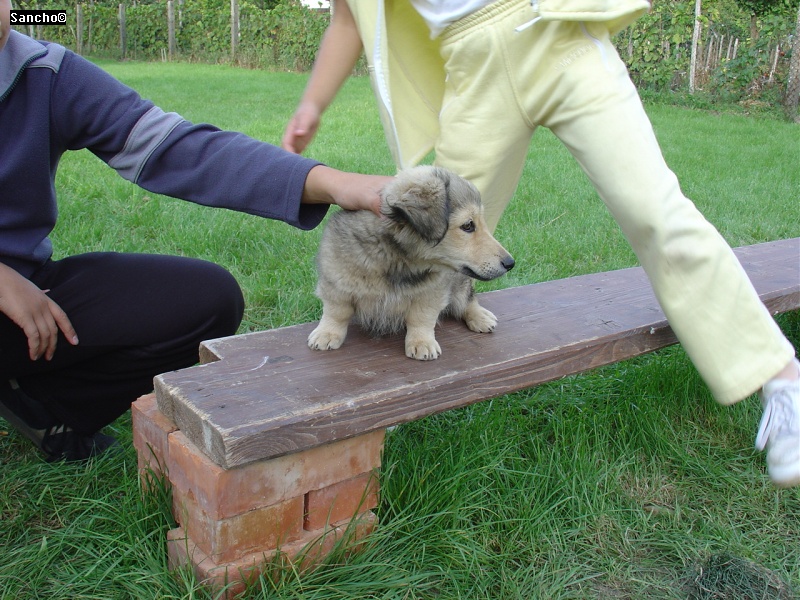 DSC08043.JPG