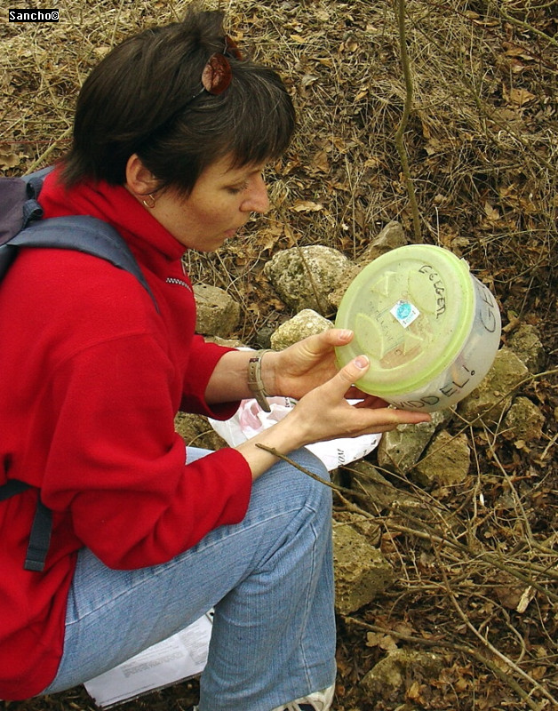 [url=http://www.geocaching.hu/caches.geo?id=70]GCEger[/url] megtalálása!