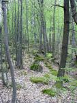 DSC00226.JPG