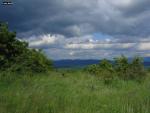 DSC00881.JPG
