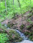DSC00893.JPG
