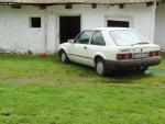 DSC00930.JPG