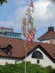 DSC01104.JPG