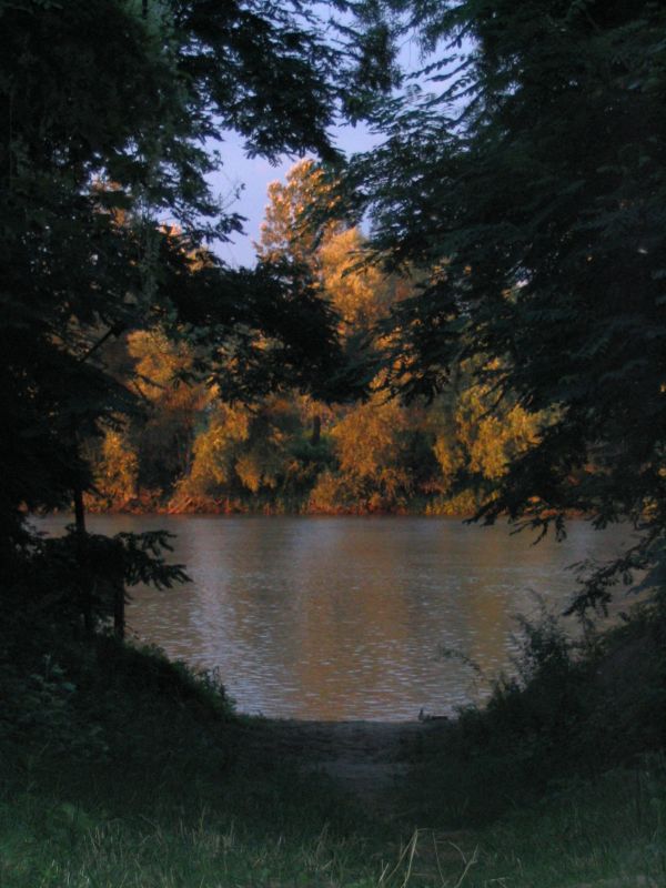 kép 120.jpg