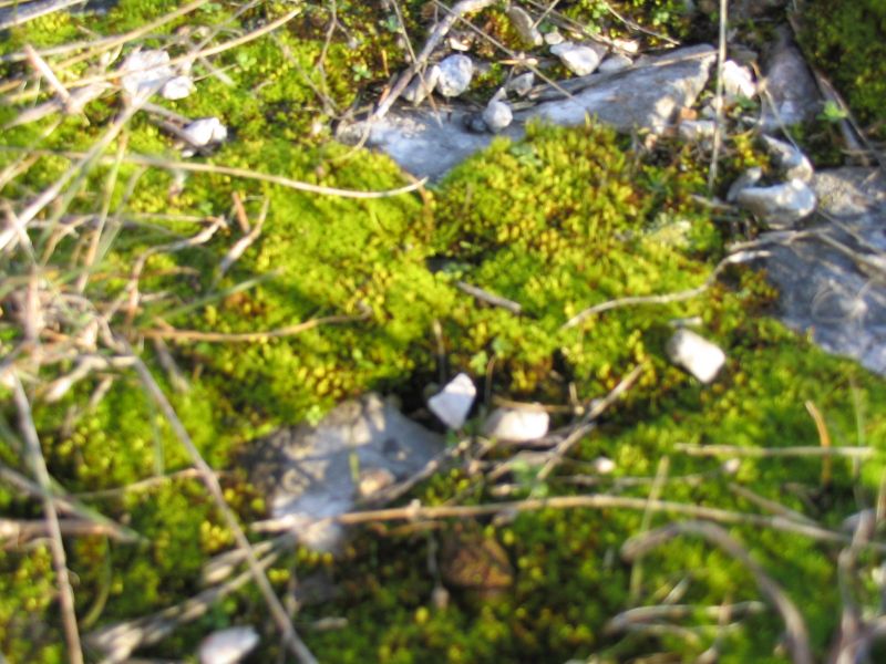 kép 052.jpg