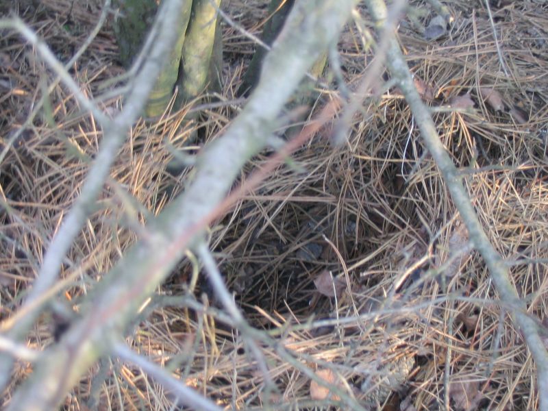 kép 065.jpg
