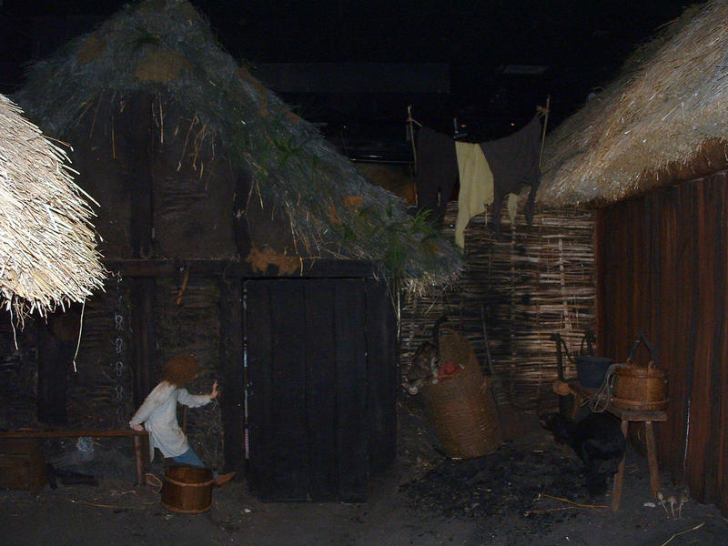 19 Jorkik - Viking village.jpg