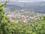 PICT0004.jpg