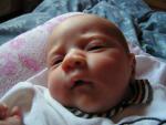PICT0076.JPG