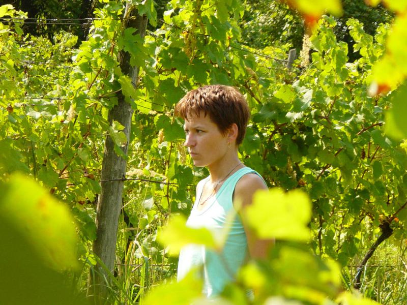 Csilla felméri a helyzetet.