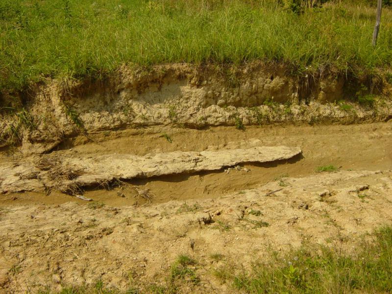 Egy frankó vízmosás. Esett vagy 100-120mm is állítólag a hegyen. A városban 80mm-t mértek.