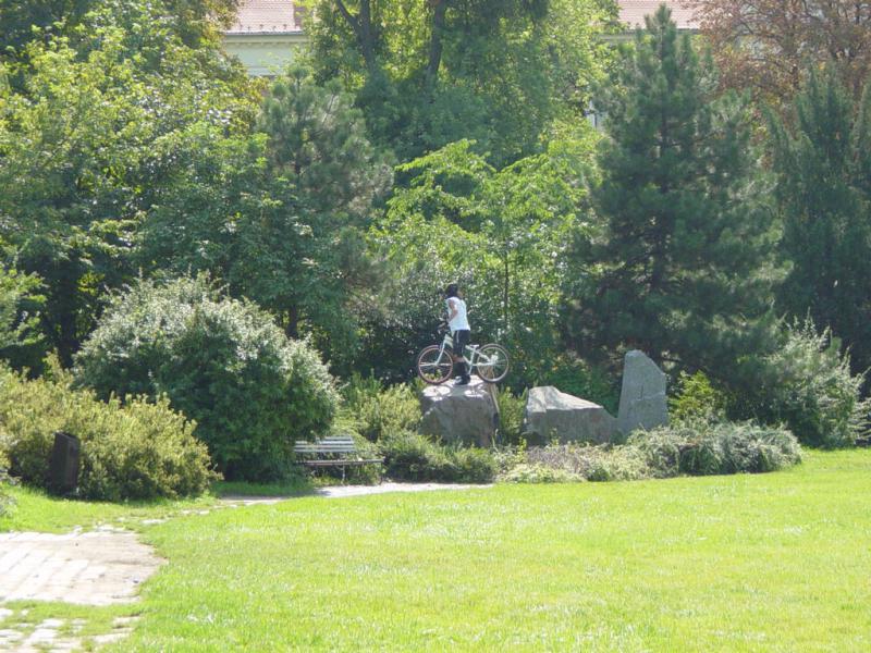 DSC00459