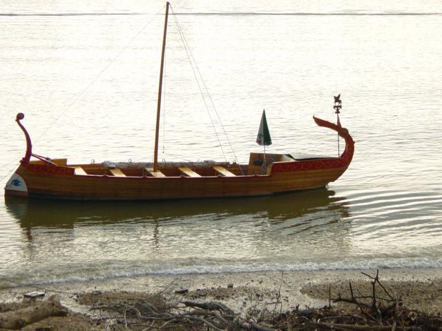 DSC00972