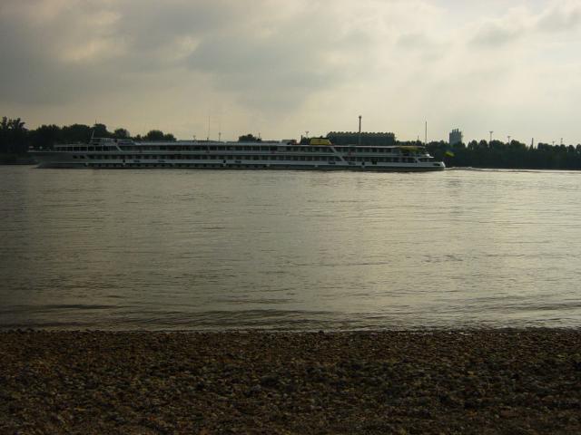 DSC01005