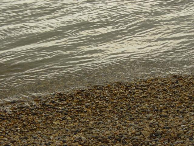 DSC01006