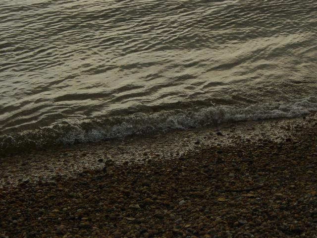 DSC01010