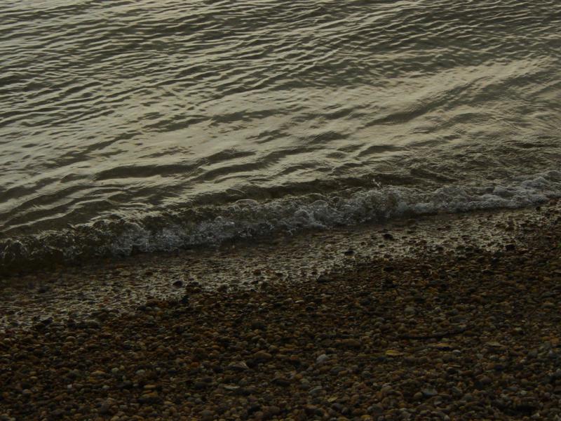 DSC01010