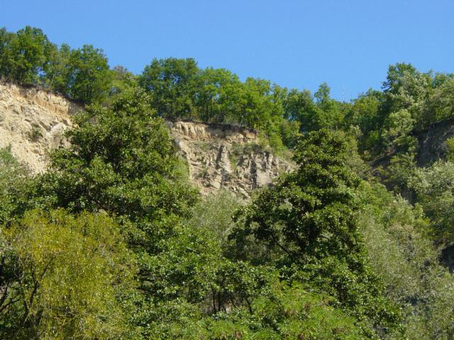 DSC01027