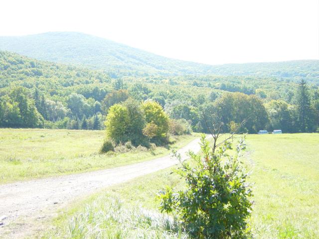 DSC01029