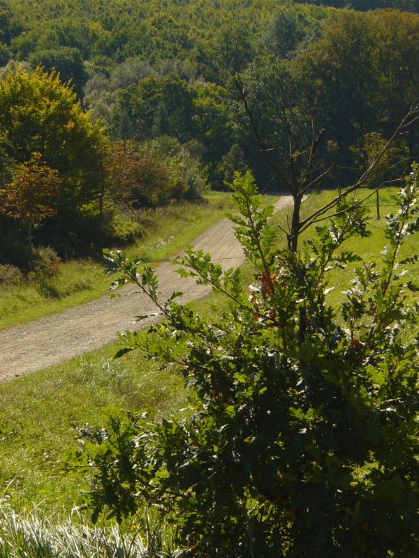 DSC01034