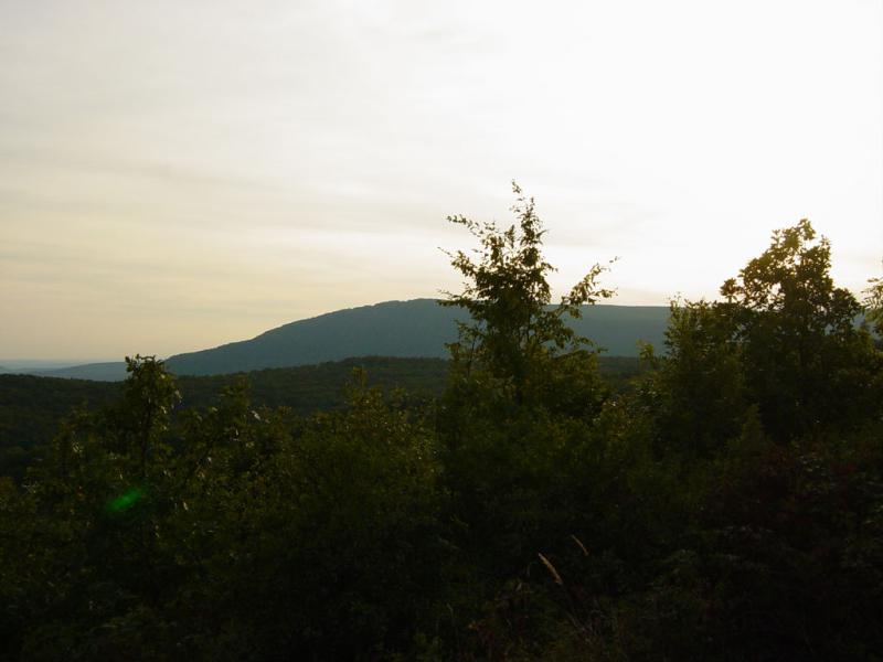 DSC01093