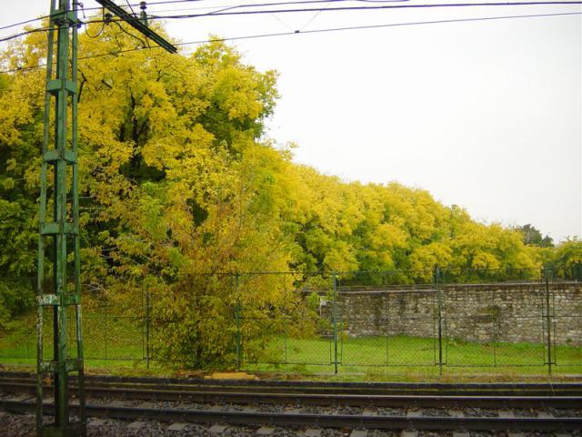 mini-DSC01944