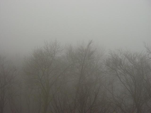 mini-DSC02592
