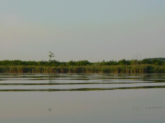 mini-DSC04246.JPG