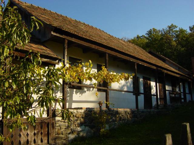 DSC06255.JPG
