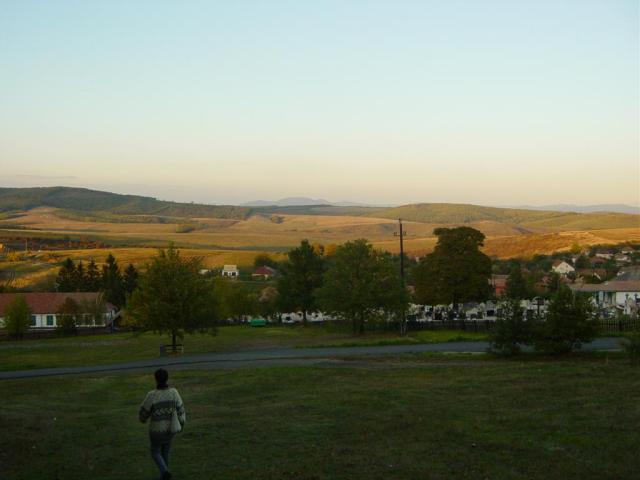DSC06308.JPG