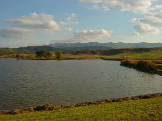 DSC06568.JPG