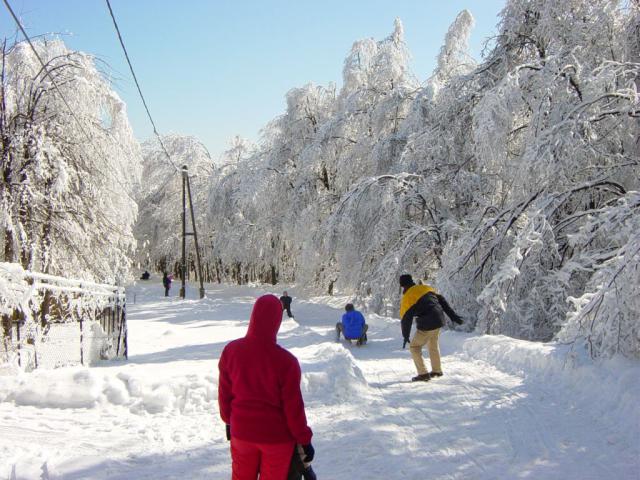 DSC06980.jpg
