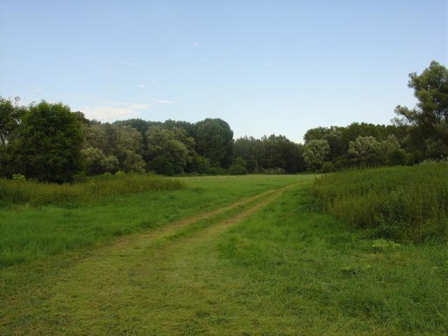 DSC02147.JPG
