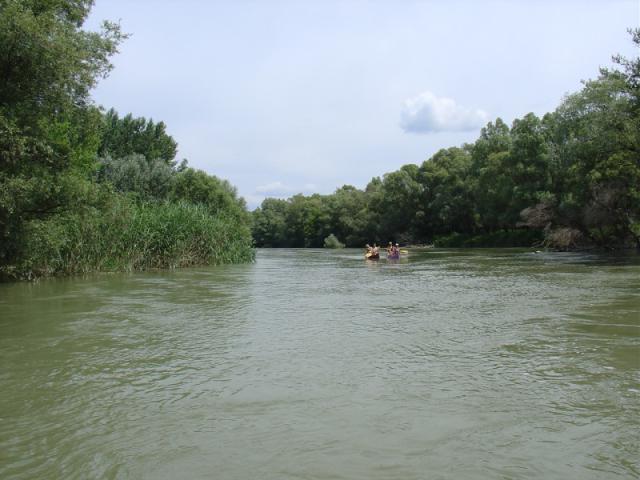 DSC02207.JPG
